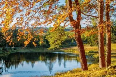 Automne jigsaw puzzle