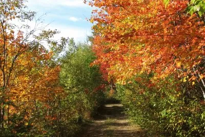 Hitting the trail for home  Oct 4th