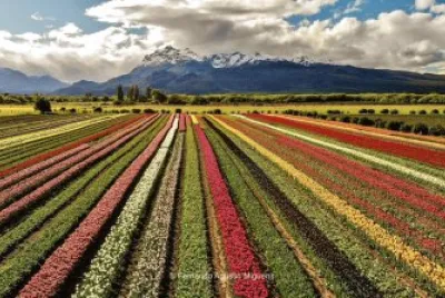 paisaje jigsaw puzzle
