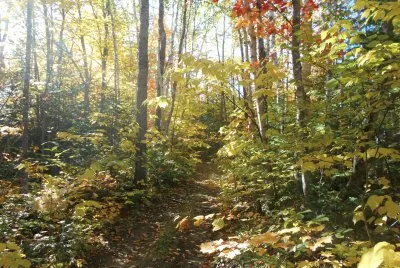 Oct 4th - wanna ride thru the woods with us?  L