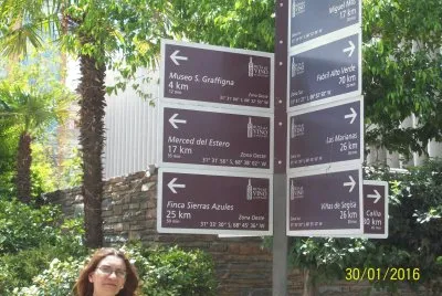 Ruta del Vino