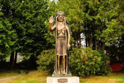 Cedar Woman