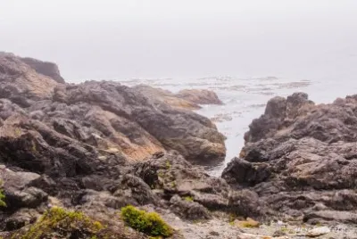 Wild Coast jigsaw puzzle