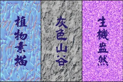 å„å¼æè³ª