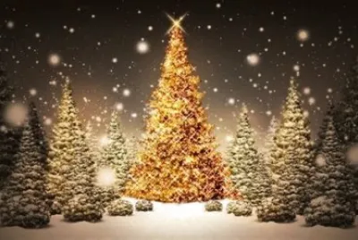 Ãrboles de navidad
