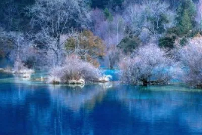 Lago invernal jigsaw puzzle