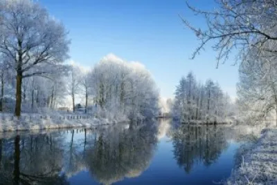Bosque invernal jigsaw puzzle