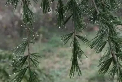 Invierno