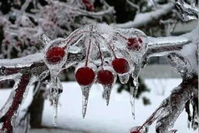 Invierno jigsaw puzzle