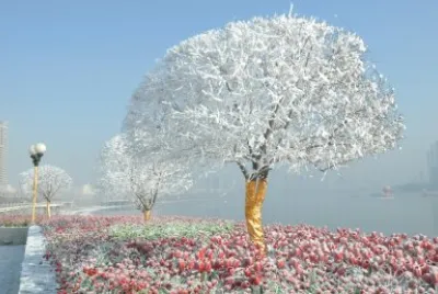 Invierno jigsaw puzzle