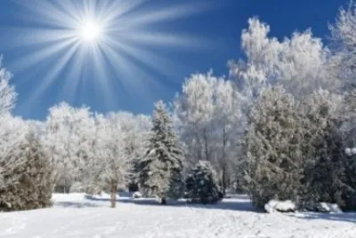 Paisaje de invierno