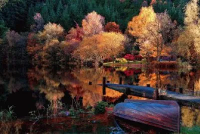 Lago invernal jigsaw puzzle