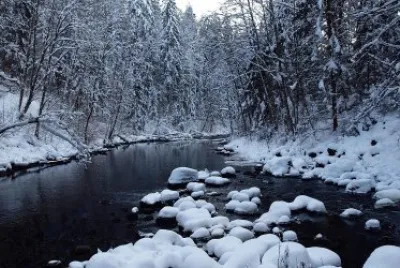 Paisaje de invierno