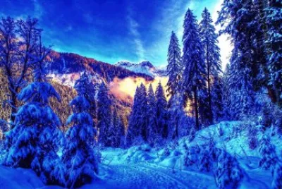 Paisaje de invierno