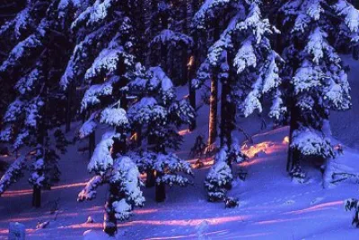 Paisaje de invierno