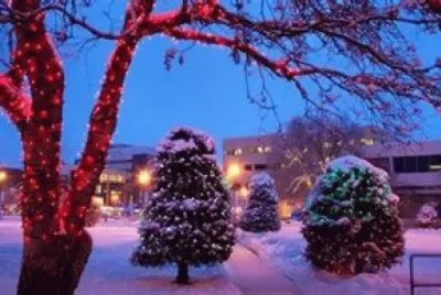 Paisaje de invierno