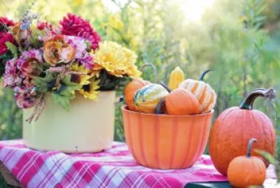 Gorgeous Fall Still Life