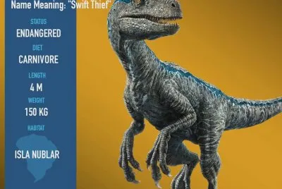 Velociraptor