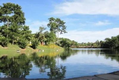 פאזל של Nature