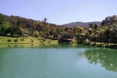 פאזל של Nature