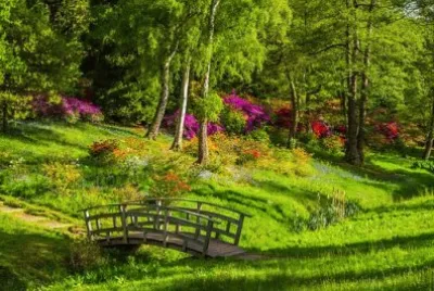 פאזל של Nature