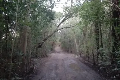 El camino