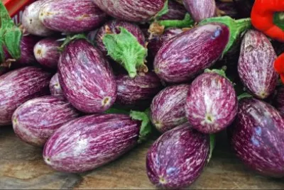 aubergines