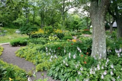 פאזל של Nature