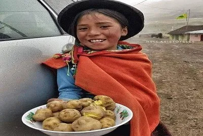 Campesina