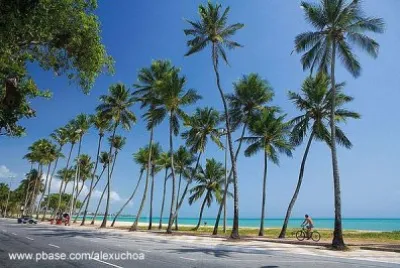 imagem jigsaw puzzle