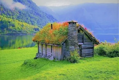 natural jigsaw puzzle