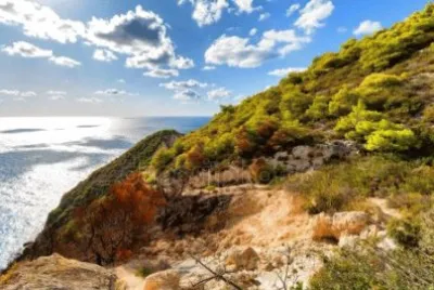 NATUREZA jigsaw puzzle