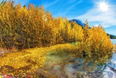 NATUREZA jigsaw puzzle