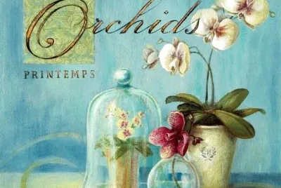 Objetos