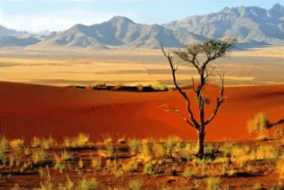 Deserto no Chile jigsaw puzzle