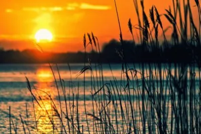 פאזל של Nature