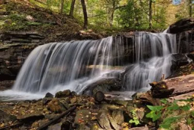 פאזל של Nature