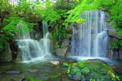 פאזל של Nature