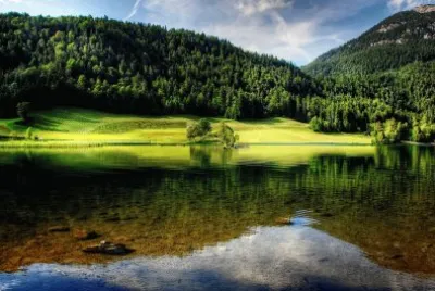 פאזל של Nature