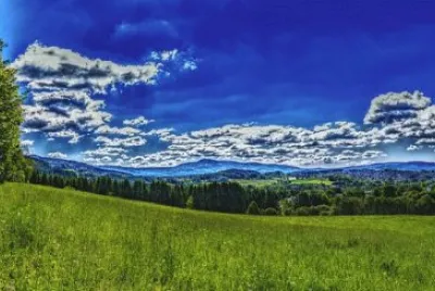 פאזל של Nature