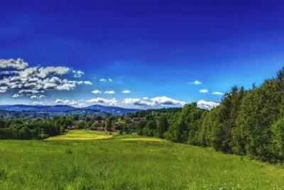 פאזל של Nature