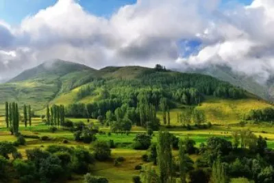 פאזל של Nature