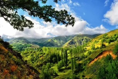 פאזל של Nature