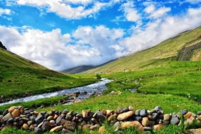 פאזל של Nature