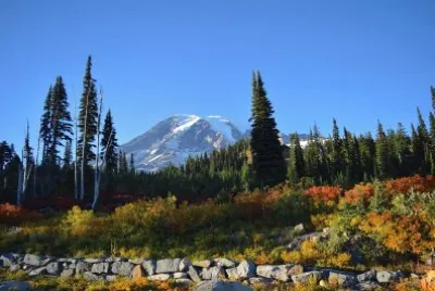 פאזל של Nature