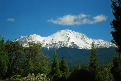 פאזל של Nature