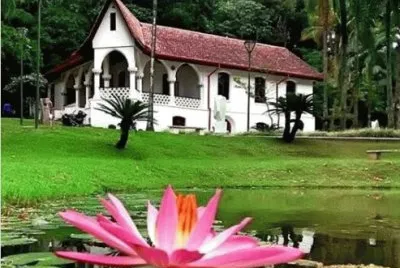 Casinha na fazenda jigsaw puzzle