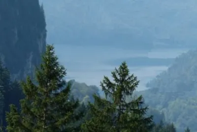 פאזל של Nature