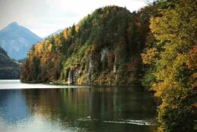 פאזל של Nature