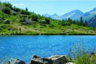 פאזל של Nature